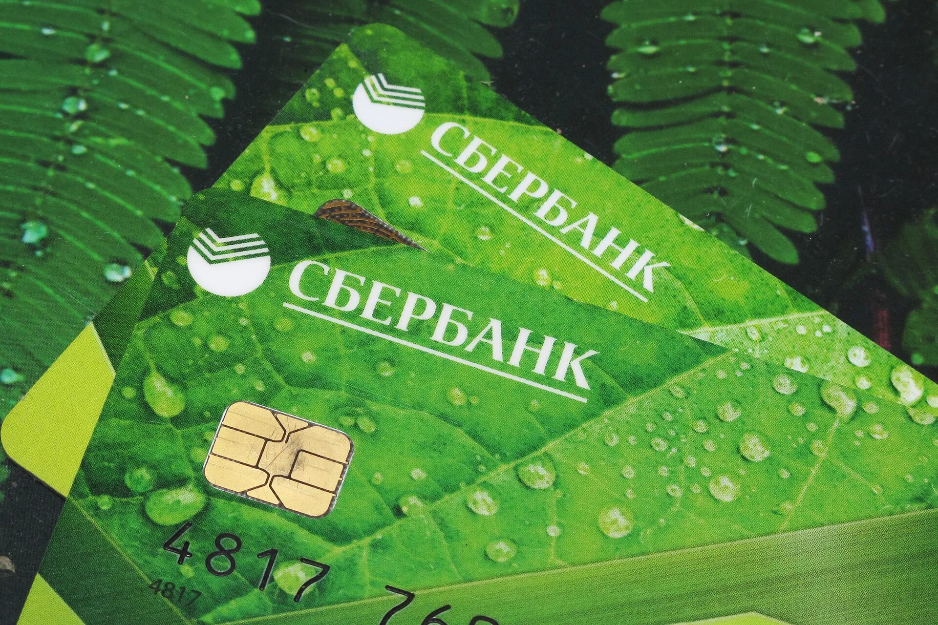 Сбер. Сбербанк маленькая карточка для телефона. Карта Сбербанк премьер зеленая. Перевыпустит карту мир Сбербанк. Сбербанк хранения денег