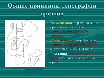 Топография виды топографии