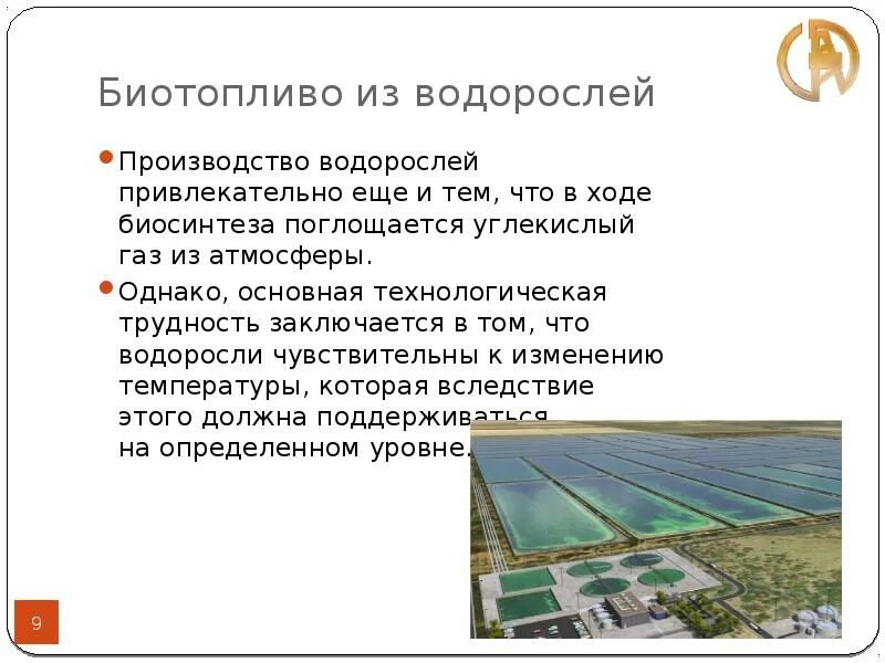 Производство водорослей