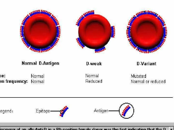 Антиген d системы резус. Антиген k1 системы kell. Антигены эритроцитов системы резус. Келл антиген эритроцитов. Антигены системы kell что это.