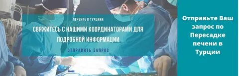 Мкнц трансплантация печени