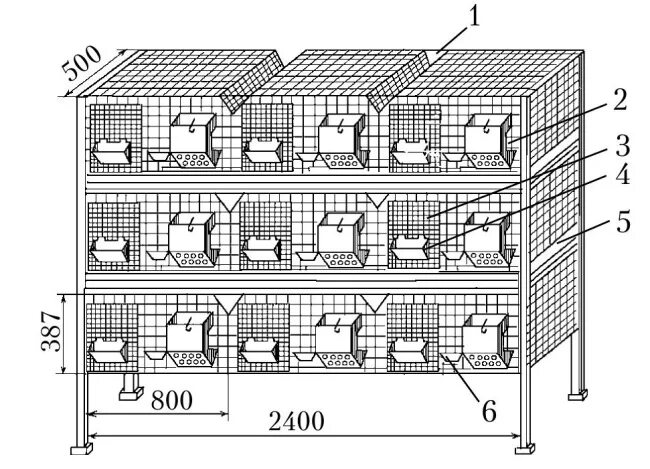 Чертеж клетки для кур. Клетки для кроликов чертежи с размерами трехъярусные. Чертежи многоярусных кроличьих клеток. Оптимальные Размеры клеток для кроликов с маточником. Клетки для кроликов Золотухина чертежи.