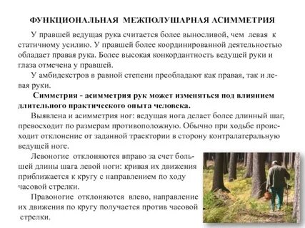 Норма асимметрии