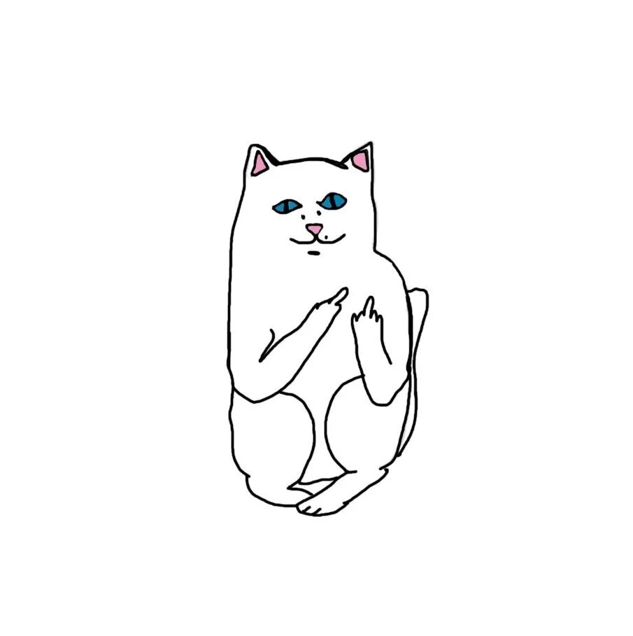 Кот показывает фак. Кот с факом. Кот показывающий средние пальцы. Кот показывает класс. Кот показывает фак.
