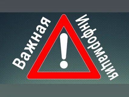 Важно они по дорогам