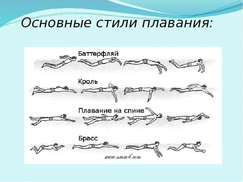 Плавание брассом и кролем