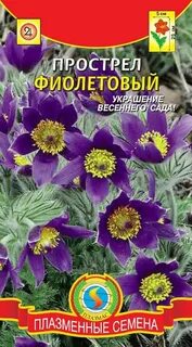 Пострел значение