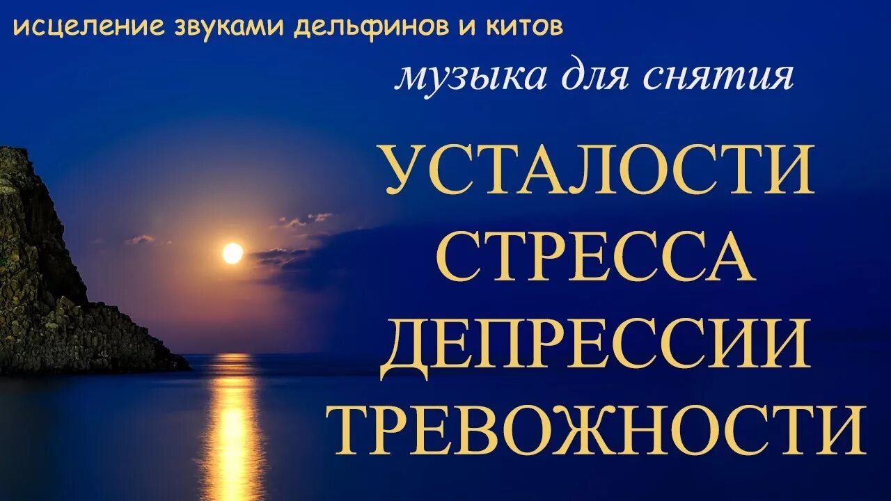 Поставь успокаивающие песни. Релакс для успокоения нервной системы. Музыкальная релаксация для нервной системы. Релакс успокаивающий нервную систему. Исцеляющие звуки дельфинов.