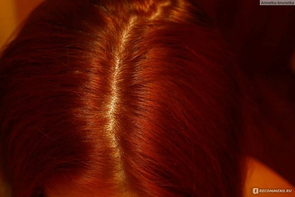 Краска concept 8. 7/44 эстель палитра. Лореаль мажирель 7. Эстель 8. 44 палитра.