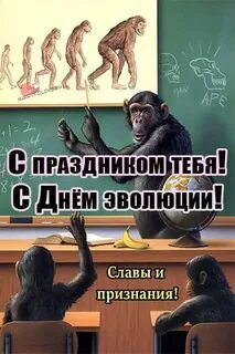 День эволюции