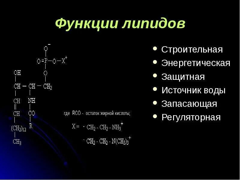 Защитный липид. Строение липидов биология. Функция липидов строительная энергетическая. Функции липидов. Функция липидов строительная функция.