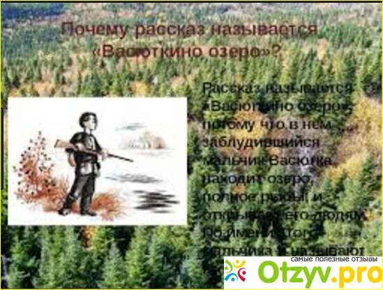 Почему озеро назвали васюткиным именем кратко. Васюткино озеро фото книги. Васюткино озеро в реальной жизни. Васюткино озеро фото. Фото к рассказу Васюткино озеро.