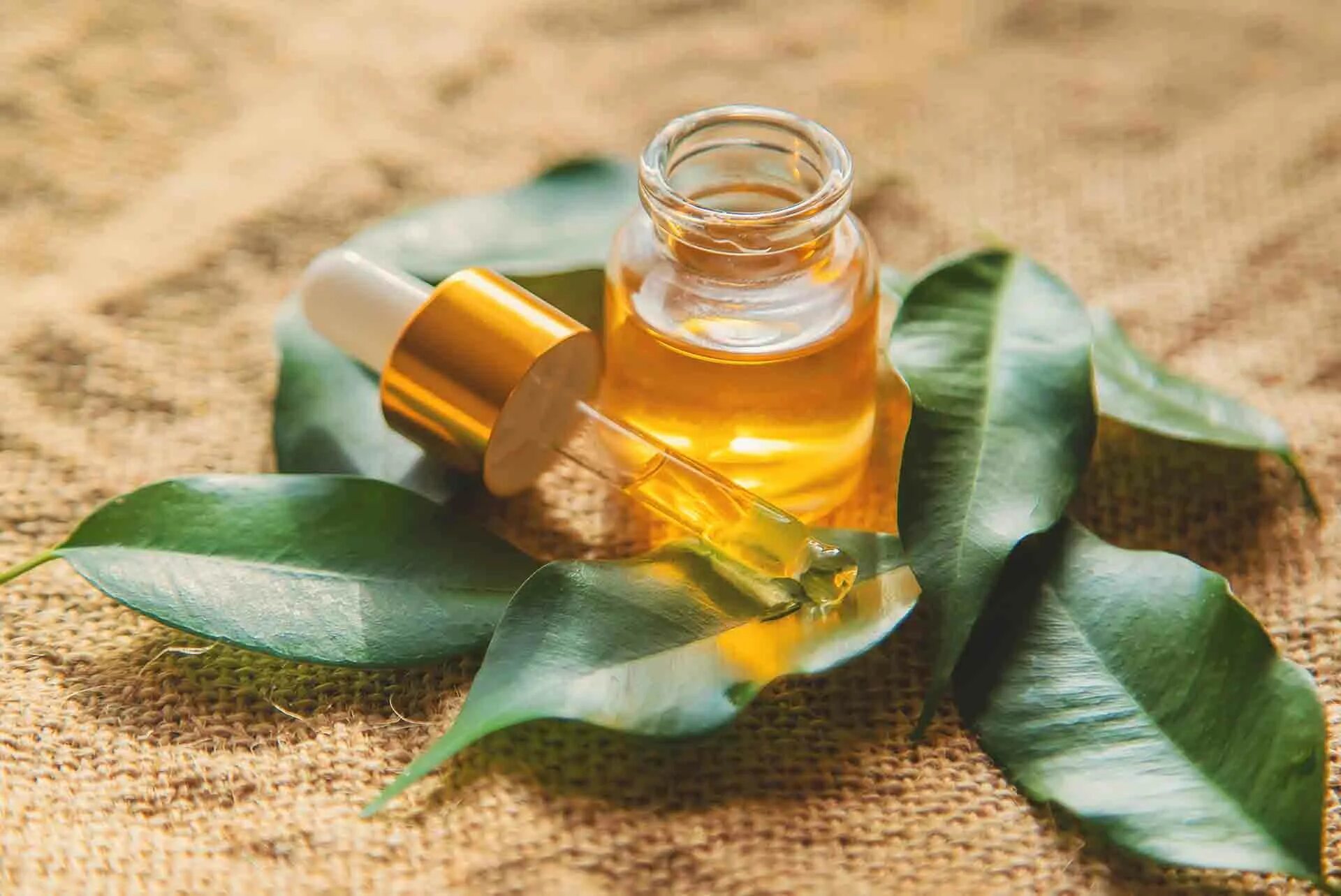 Метод лечения маслами. Tea Tree Essential Oil. Масло чайного дерева. Эфирное масло чайного дерева. Масло чайного дерева для ароматерапии.