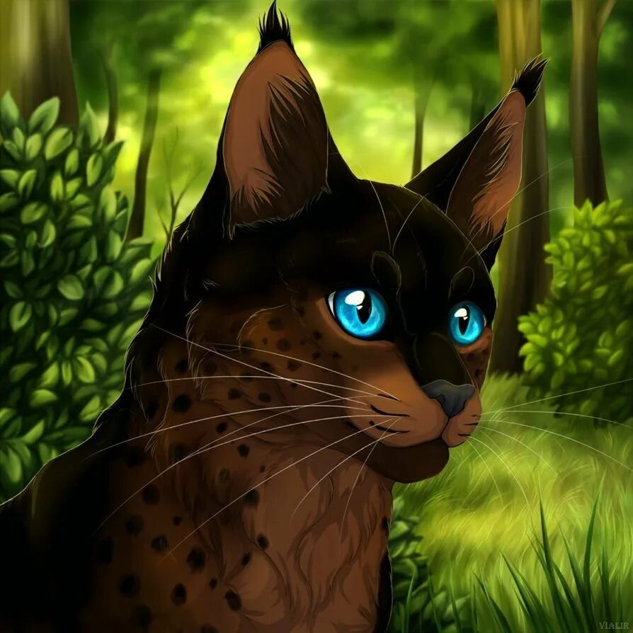Коты воители варриорс. Коты воители верескоглазка. Коты воители арт. Котики воители. Остролист коты воители.