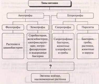 Схема типа питания