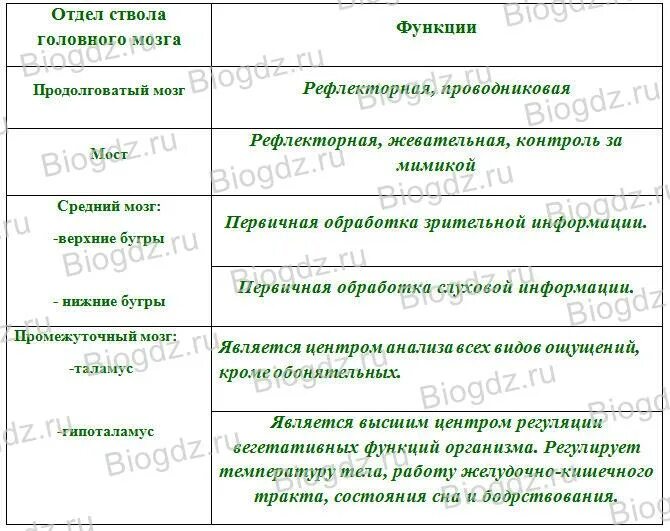 Таблица строение и функции отделов головного мозга. Отдел ствола головного мозга функции таблица. Отделы головного мозга и их функции таблица анатомия. Таблица функции отделов головного мозга 8 класс биология. Функции отделов головного мозга биология 8 класс.