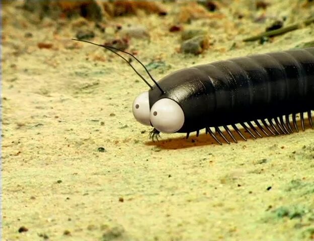 Букашки 1. Маленькие оранжевые жучки. Букашки 2. Жук мем. Minuscule букашки карусель.