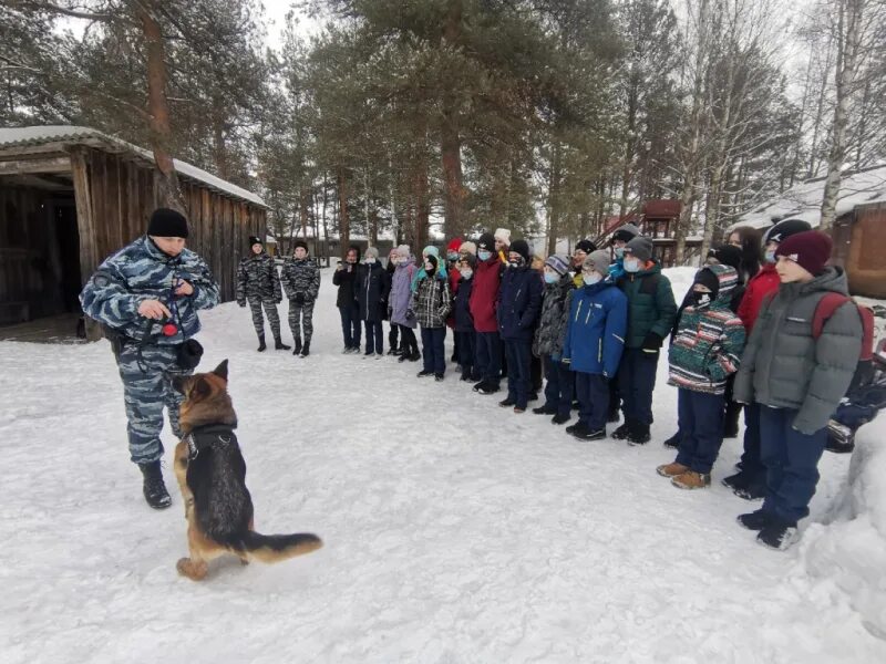 Подслушано в устюге в контакте. Полиция Великий Устюг. Кинологи Великий Устюг. Сотрудники полиции Великий Устюг. Администрация Великий Устюг сотрудники.