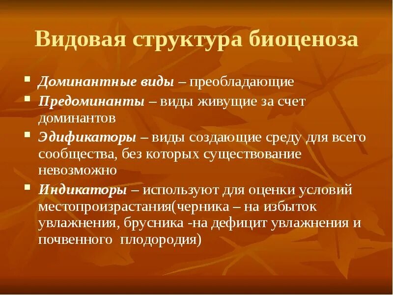 Как стать доминантом