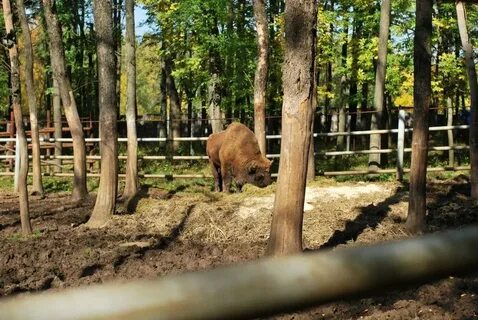 Швейцария парк нижний зоопарк