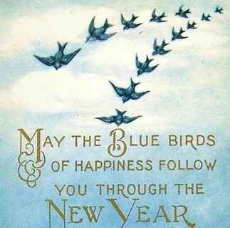 The birds are happy