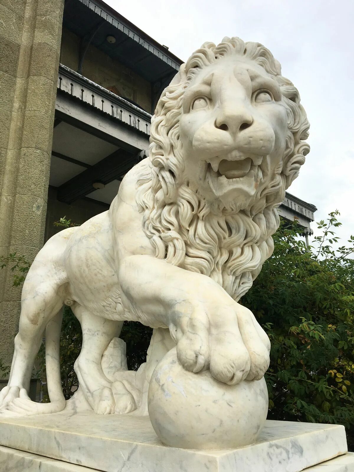 Львы воронцовского дворца в алупке. Воронцовский дворец ялта львы. Львы воронцовского дворца в алупке. Львы воронцовского дворца в алупке. Воронцовский дворец ялта львы.