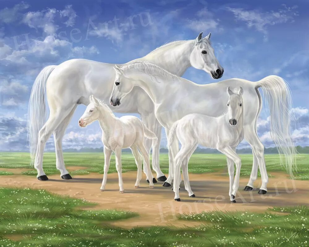 Horse family. Лошадь с жеребенком. Белая лошадь. Жеребёнок и белая лошадь. Две лошади.