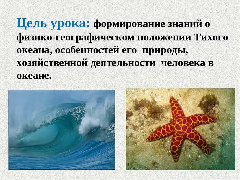 Тихий океан содержание. Презентация на тему океаны. океан для презентации. презентация на тему тихий океан. тихий океан слайд.