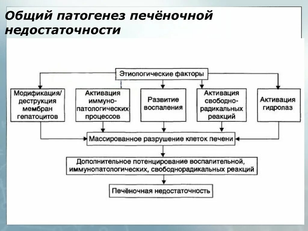 Острая печеночная недостаточность патогенез. Механизм развития печеночной недостаточности. Патогенез острой печеночной недостаточности схема. Острая печеночная недостаточность механизм развития. Общая этиология общий патогенез