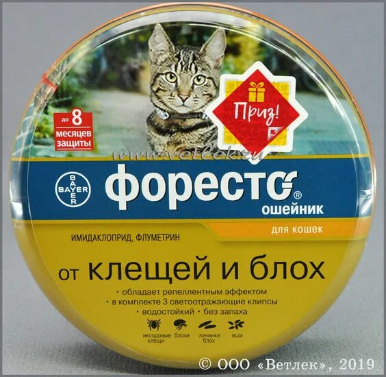 Купить ошейник форесто для кошек. Bayer Foresto ошейник для кошек. Foresto ошейник для кошек от блох и клещей, 38 см. Ошейник для кошек Фореста. Ошейник для кошек от блох и клещей Фореста.