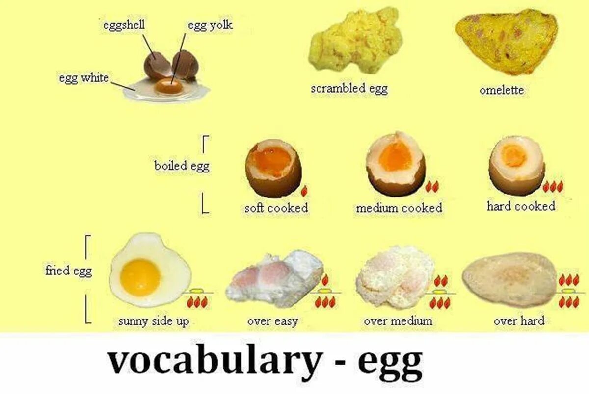 Желток прилагательное. Виды приготовления яиц на английском. Egg Vocabulary. Eggs на английском языке. Виды яичниц на английском языке.