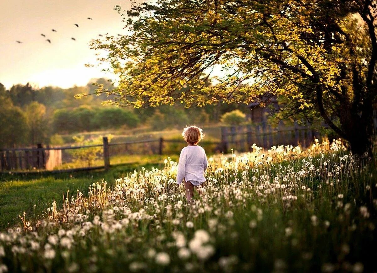 Лето в деревне. Летние воспоминания. Лето в деревне детство. Дети и природа. Life is a nature