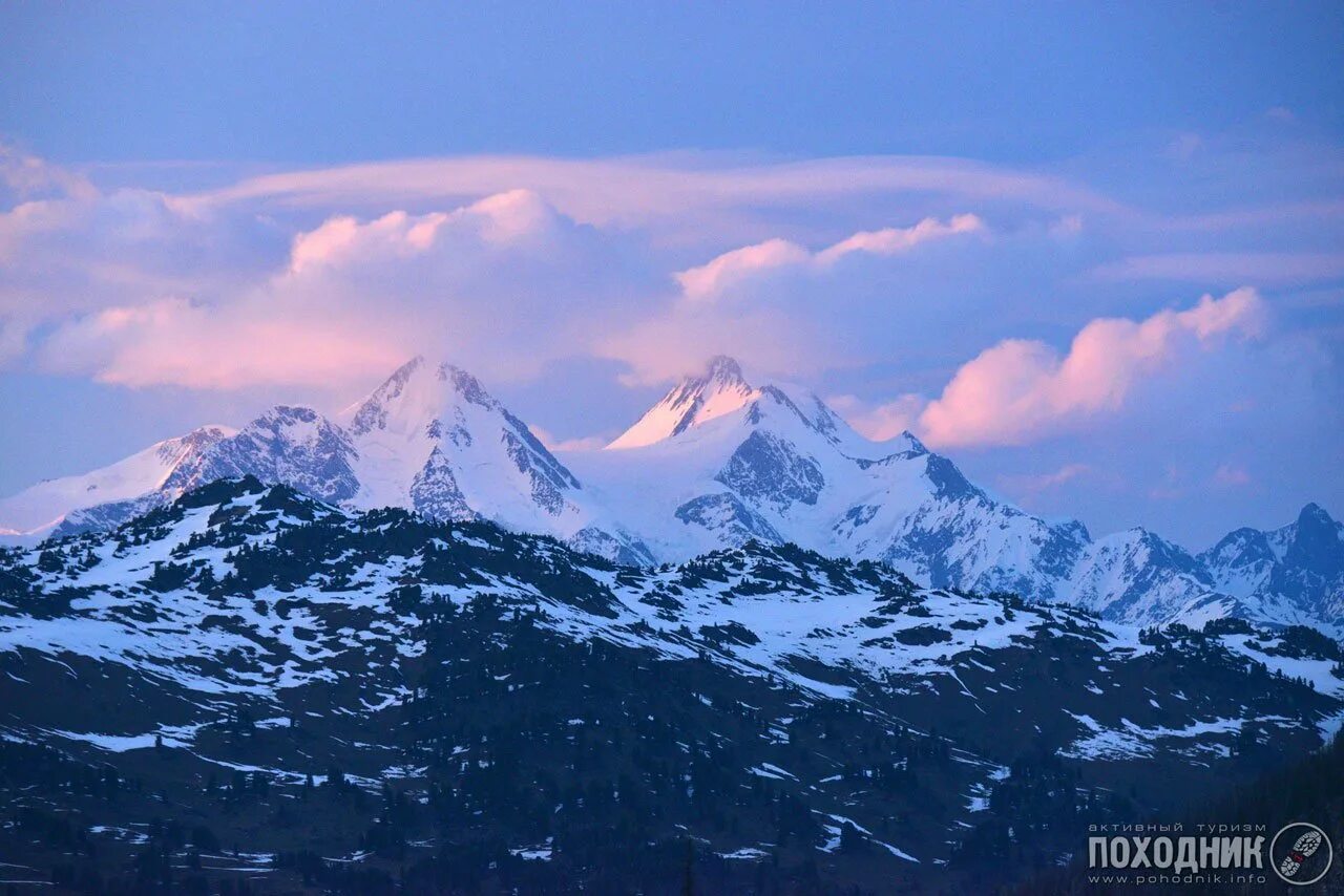 Сопка белуха. Горный массив белуха. Вершина белухи восточной. Горно алтайск гора белуха. Гора белуха вершина.