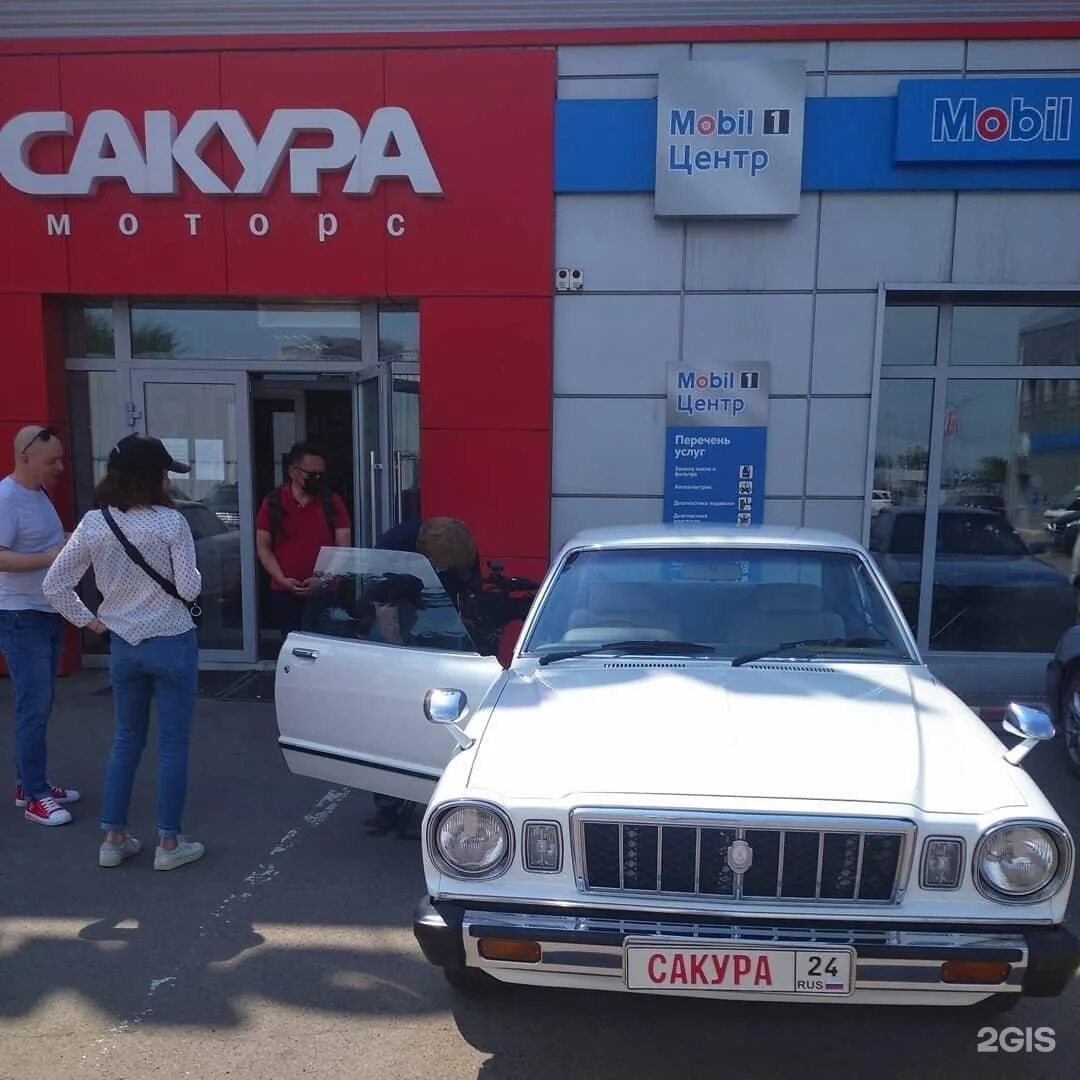 Сакура моторс абакан запчасти. Сакура моторс. сакура моторс красноярск. сакура моторс кемерово. сакура моторс абакан.