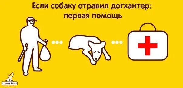Лечение собаки при отравлении