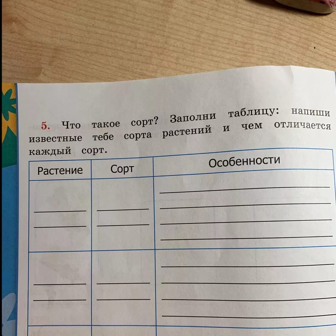 Заполните таблицу впишите. Заполни таблицу. заполни таблицу растения. запиши в таблицу названия растений твоего края. мир растений заполнить таблицу.