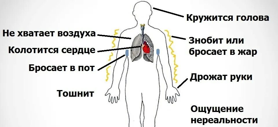 Боли в животе бросает в жар. Кружится голова и тошнит. Кружитьсяголоваитошнит. Сердце тошнит и кружится голова.