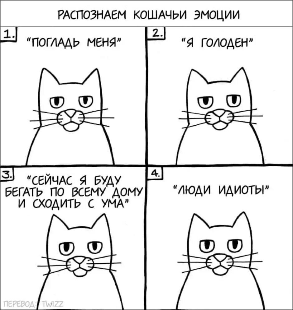 Комиксы 5 класс. Комиксы рисунки легкие. Комикс про кота. Лёгкие рисунки комиксов. Нарисовать комикс.