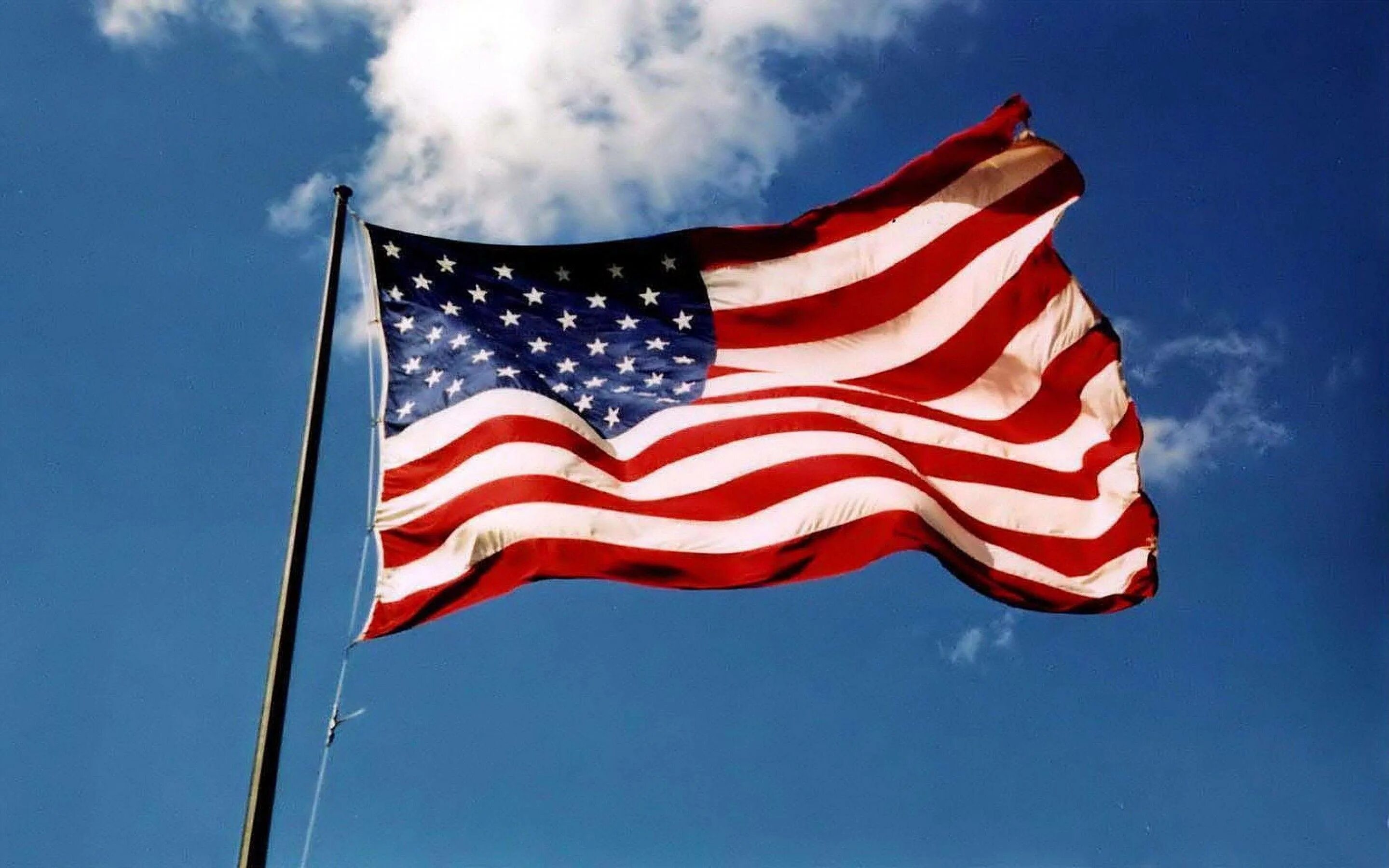 Америка это. Флаг США. Рождение США. Гугл флаг США. Америка анимаөия.