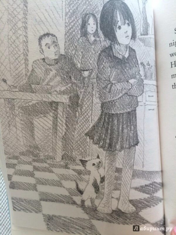 Котенок фиалка или коробка с сюрпризом. Котёнок фиалка, или коробка с сюрпризом. холли вебб котёнок фиалка или коробка с сюрпризом. холли вебб котенок фиалка. котёнок фиалка или коробка с сюрпризом холли вебб книга.