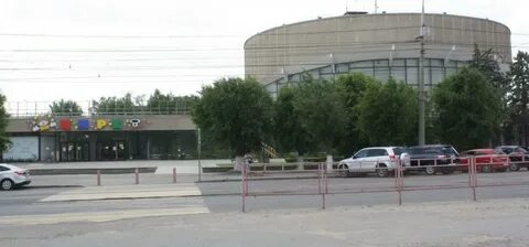 Цирк волгоград 2024