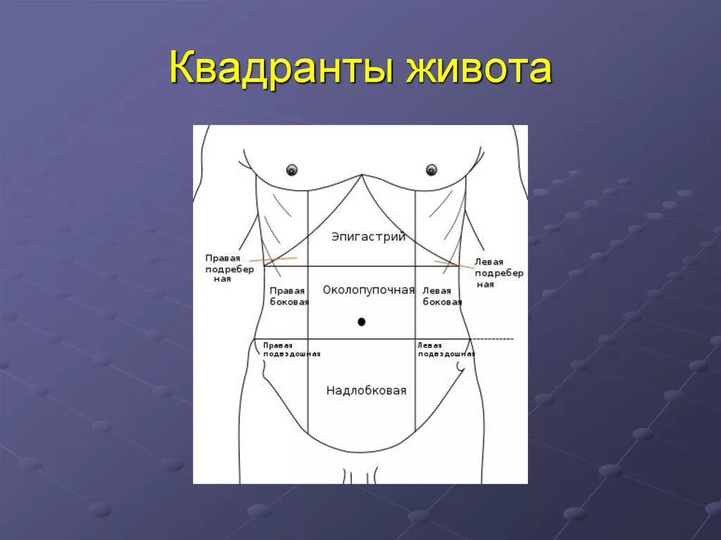 Ноющая боль в эпигастрии. Области живота. Деление живота на квадранты. Анатомические области живота. Области живота схема.