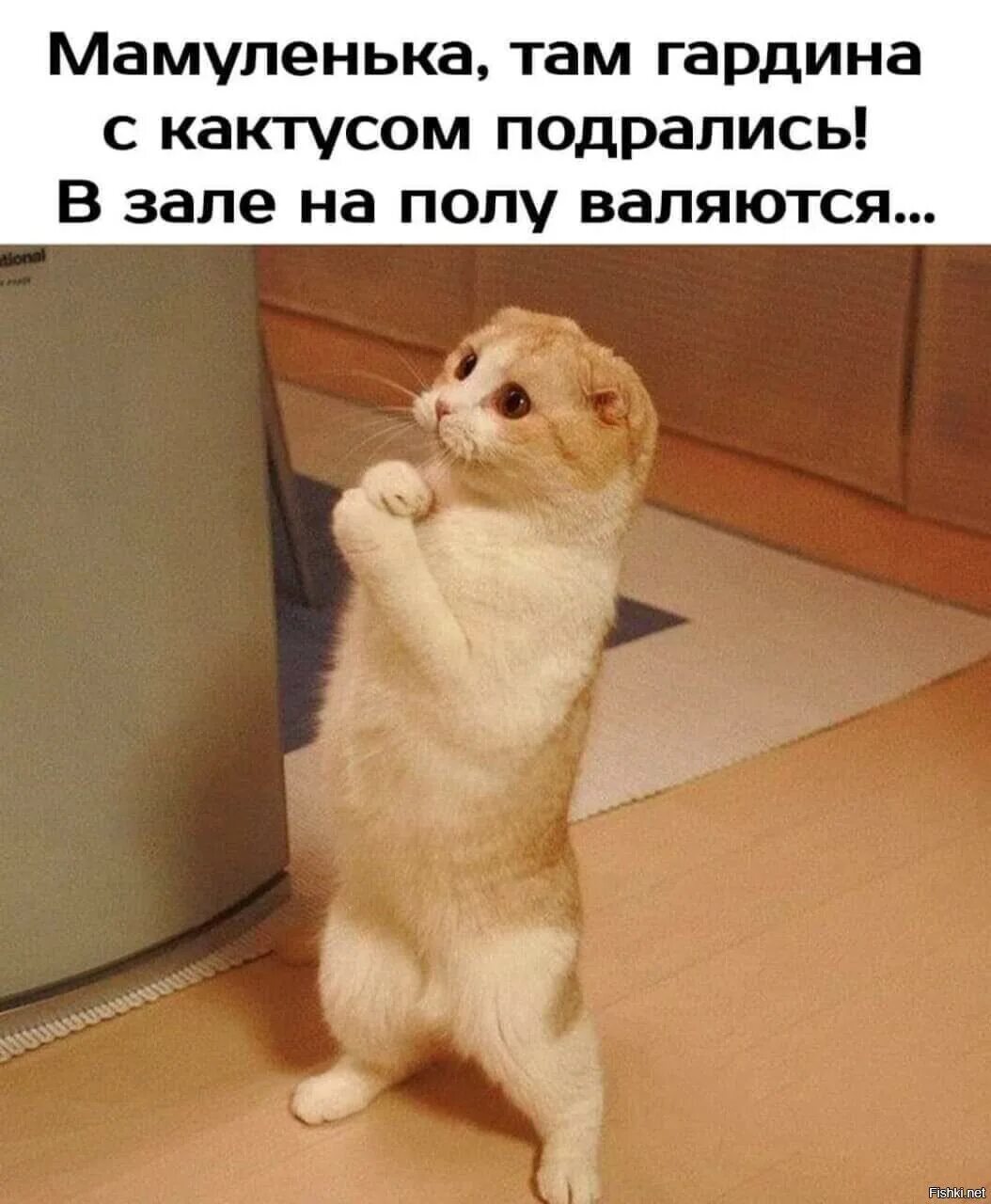 Покажите пожалуйста как делают