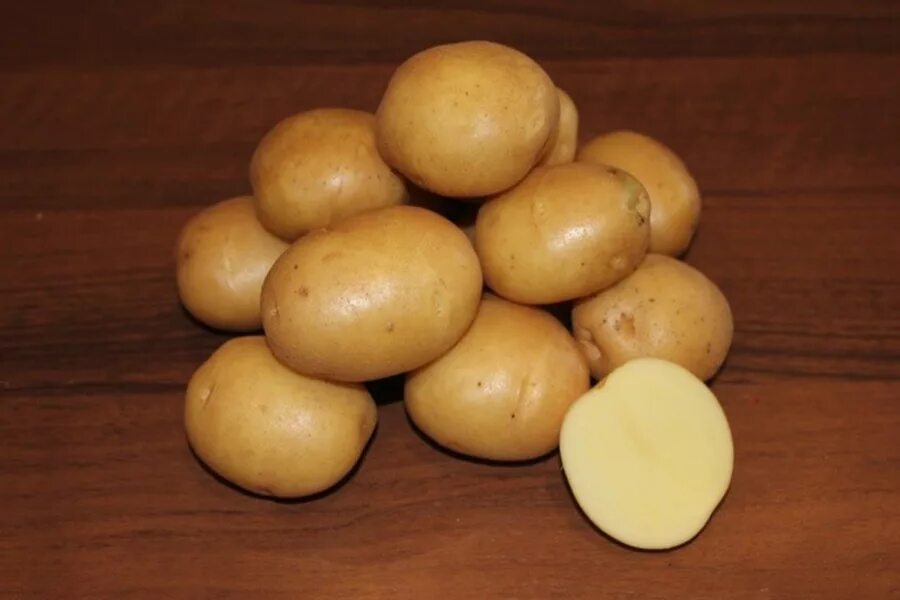 Сорт картофеля гулливер характеристика. Картофель сорт Гулливер. Картофель семенной Гулливер. Семенной картофель сорт Колобок. Сорт картофеля Колобок.