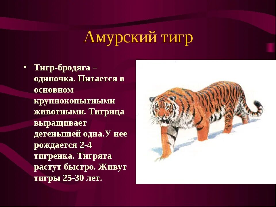 Сообщение о каком либо