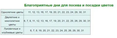 Лунный календарь март 2024г посевной