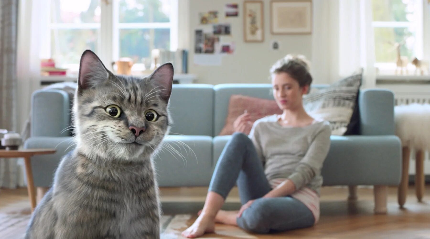Кошка 2021. Кошки из рекламы на ТВ. Реклама с кошками посте. Большой кот реклама. Реклама первого канала с кошками.