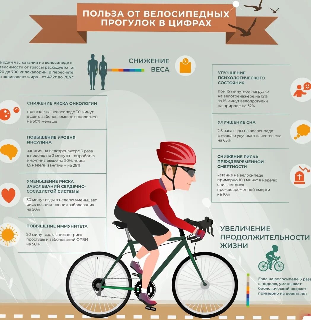 Можно ли кататься каждый день. Полезность велосипеда. Велосипед полезно для здоровья. Польза велосипеда инфографика. Ездить на велосипеде полезно.