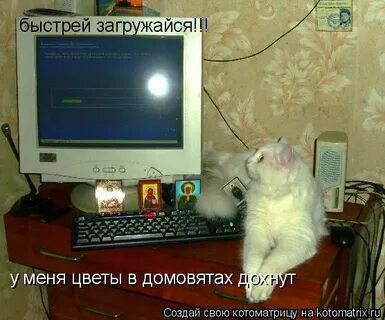 Ну включи интернет