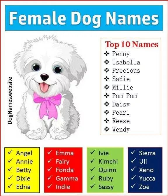 Dogs s names are. Имена собак на английском. Клички для собак. Иностранные имена для собак. Английские собачьи имена.